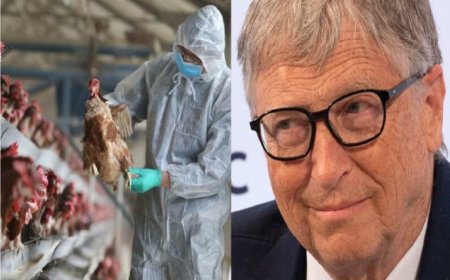 Experimentos con la gripe aviar que los vuelven transmisibles a los humanos