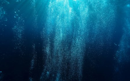 Ojo!!, un catalizador piezoeléctrico  Huele a GRAFENO, una vez más, sin mencionarlo