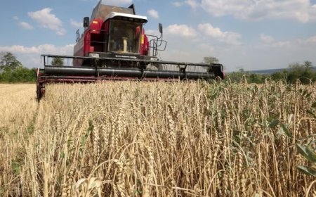 La guerra contra los agricultores causará "guerras alimentarias", no el cambio climático