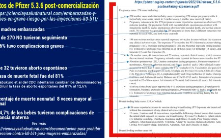 los cargos contra Pfizer por haber engañado al público