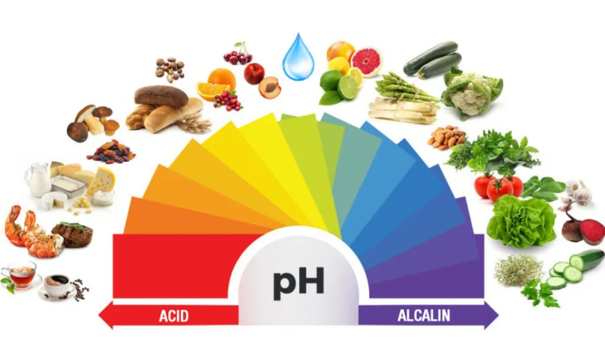 El camino hacia la salud perfecta: equilibrio ácido-alcalino