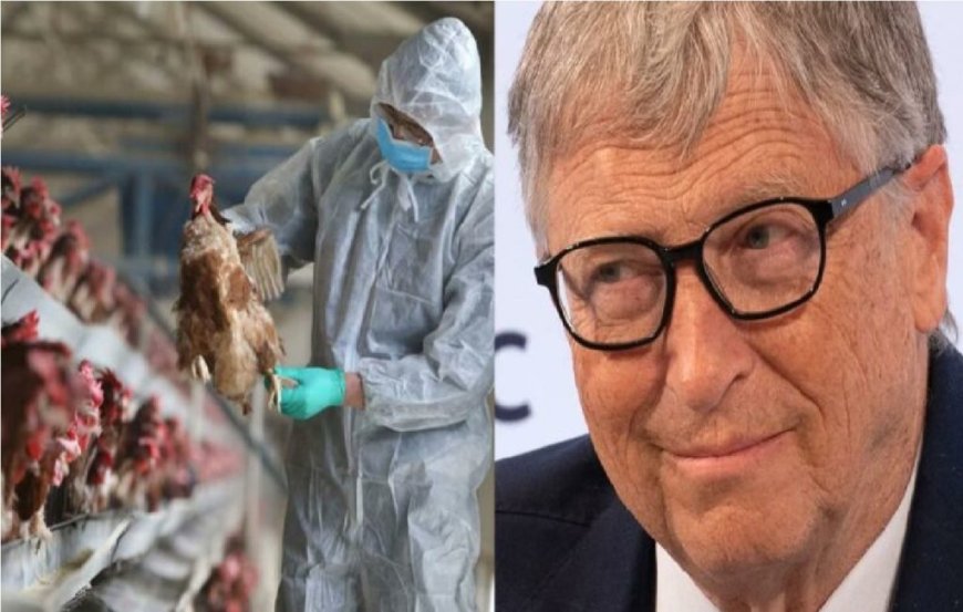 Experimentos con la gripe aviar que los vuelven transmisibles a los humanos