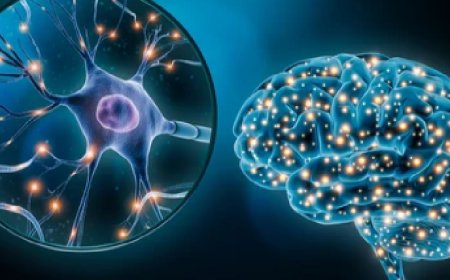 Inyecciones de ARNm es una negligencia criminal