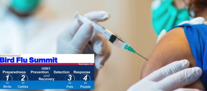 Cumbre sobre la gripe aviar