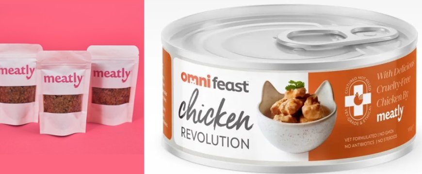 Carne falsa como alimento para mascotas