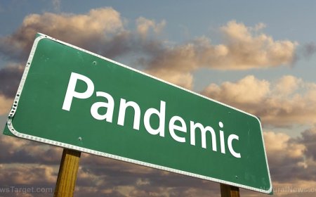 El HHS declara emergencia y aprueba las pruebas PCR y las vacunas contra la gripe aviar,