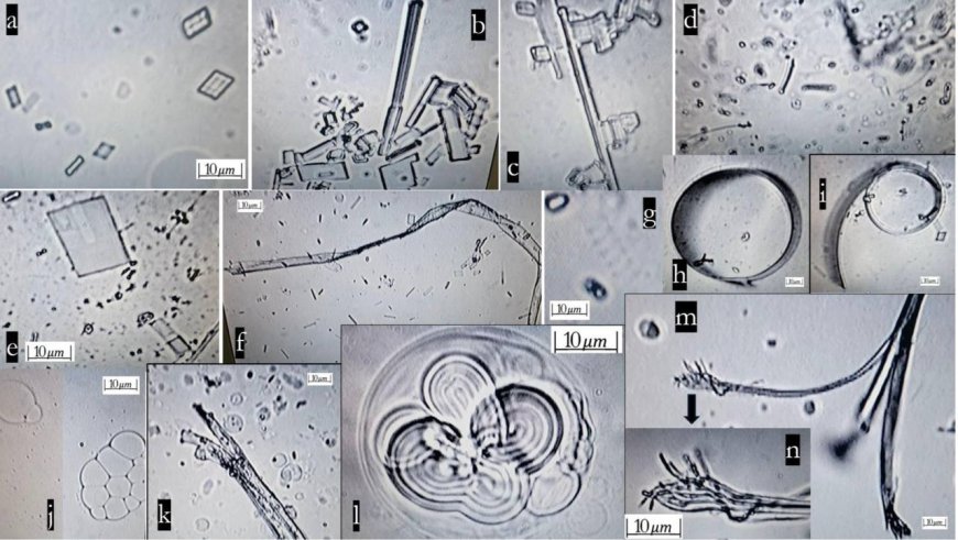 Mas confirmacion sobre nanoestructuras en vacunas