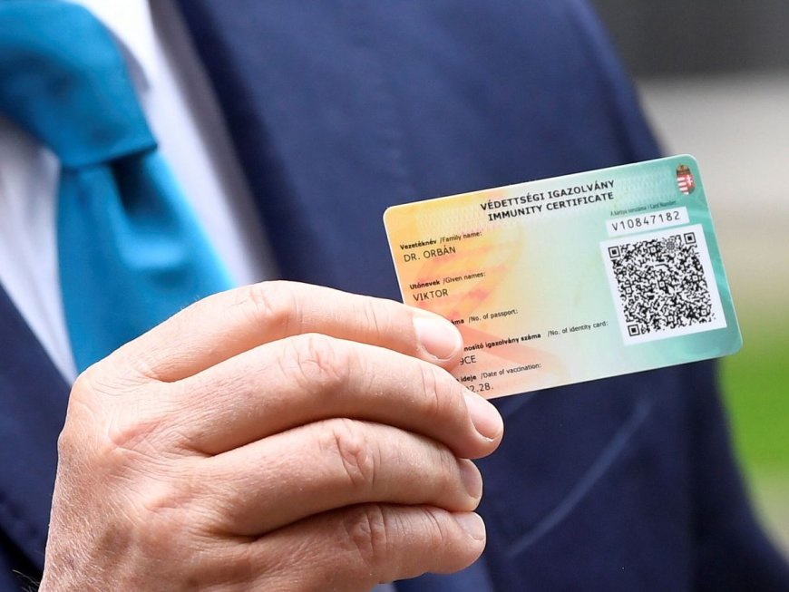 Tarjeta europea de vacunación