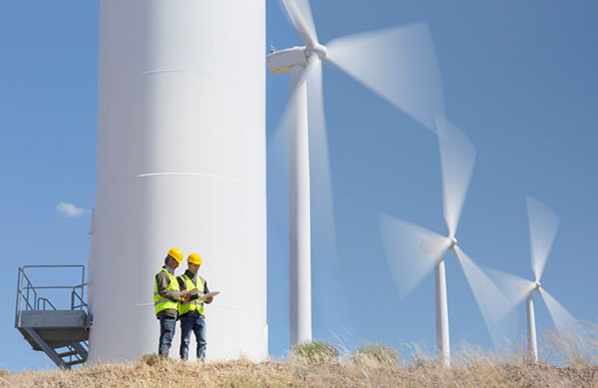 El desastre de la turbina eólica de energía "limpia"
