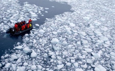 Las emisiones humanas tienen un "impacto cero" en el cambio climático