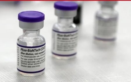 Pfizer conocía los efectos adversos de los pinchazos COVID 19