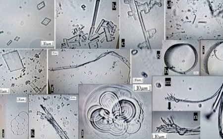 Nanobots autoensamblables en los inyectables Covid19