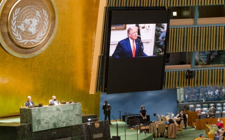 Están aterrorizados por un nuevo mandato de Trump en la Casa Blanca