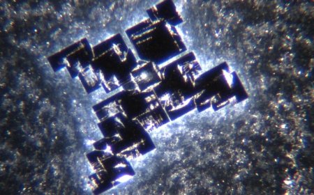 Las nanopartículas de ARNm de Covid-19 EMITEN SEÑALES DE LUZ que comunican direcciones MAC utilizadas para el autoensamblaje