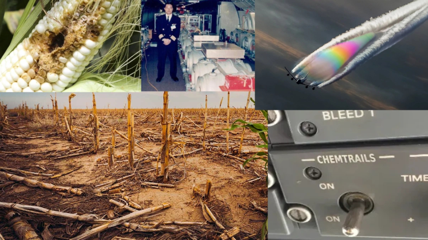 ¡Encubrimiento global!