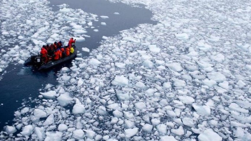 Las emisiones humanas tienen un "impacto cero" en el cambio climático