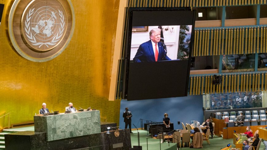 Están aterrorizados por un nuevo mandato de Trump en la Casa Blanca