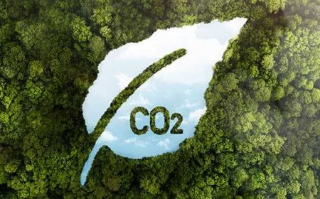 ¿Huella de carbono concepto diabolico y anormal?