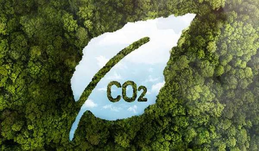 ¿Huella de carbono concepto diabolico y anormal?