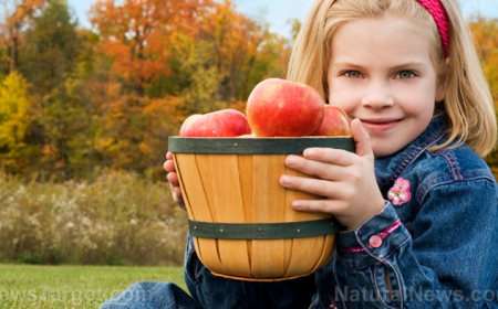 Las manzanas son la mejor defensa contra las enfermedades crónicas