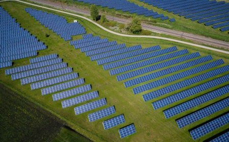 ¿Para qué arrasaron Valencia?