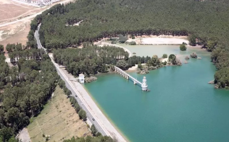 El terrorismo del estado