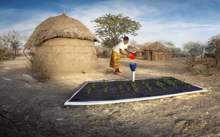 Sistema de cultivo a pequeña escala