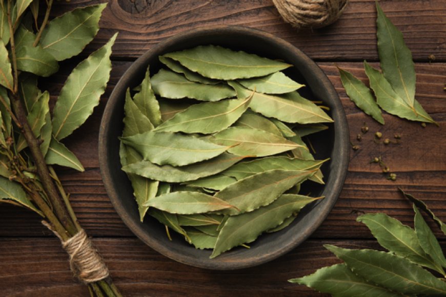 Hoja de laurel: un alimento básico de la cocina con una variedad de beneficios para la salud