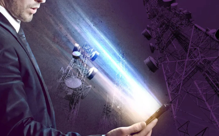 Supervivencia: técnicas efectivas de bloqueo de EMF