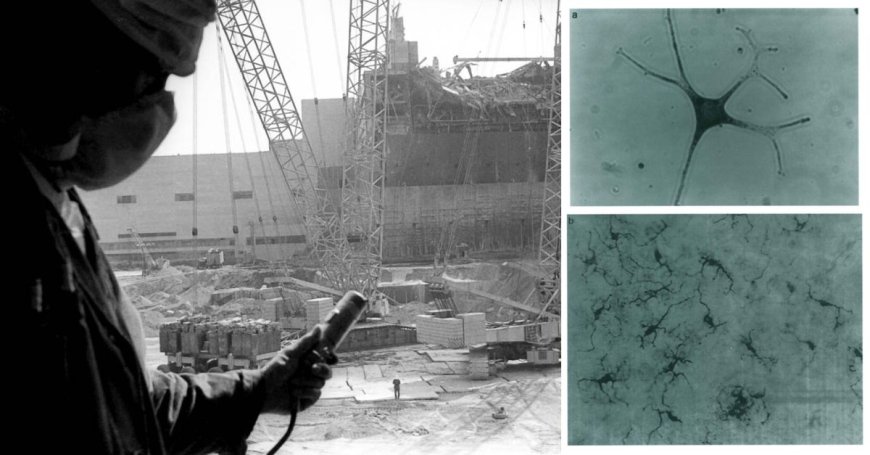 El desastre de Chernobyl propició uno de los mayores avances médicos