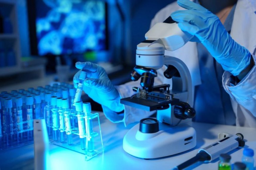 Cientos de viales de virus mortales han desaparecido de un laboratorio