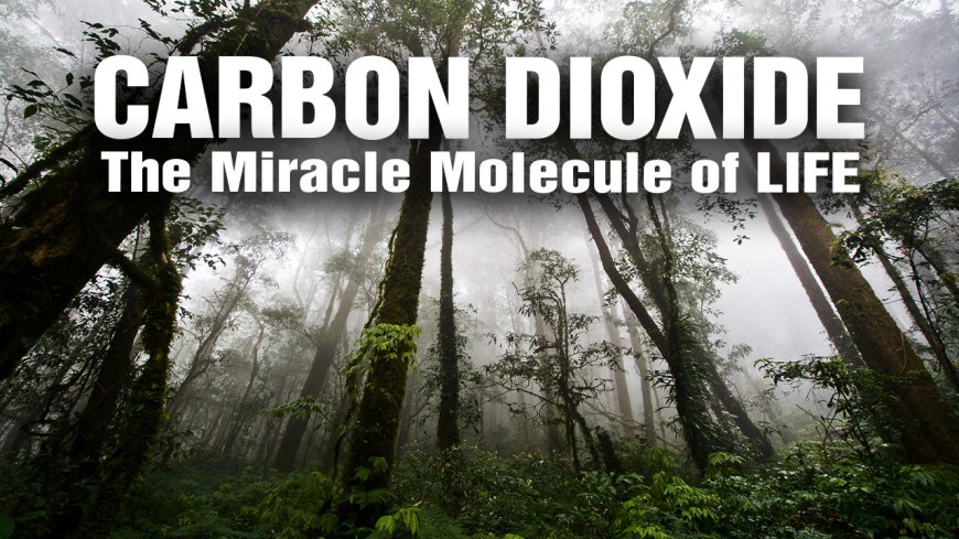El CO2 está salvando el planeta !