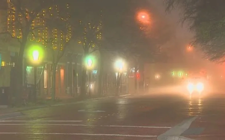 Crisis de neblina tóxica, envenenamiento masivo y operaciones de fumigación