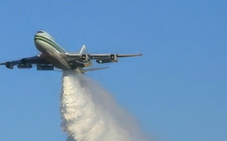 Hay que parar este CRIMEN