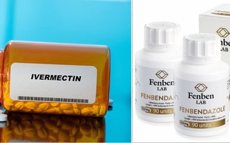 La ivermectina y el fenbendazol tratan el cáncer