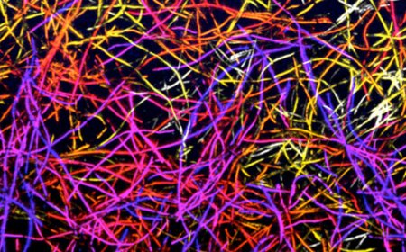 Fibras extrañas en nuestros cuerpos, nanotubos y otros inventos diabólicos para destruir a la humanidad