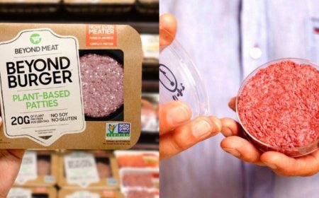 Alimentos ultraprocesados: ¿Qué tan malos son para la salud?