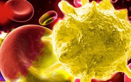 La "Quad-demia" ya está aquí