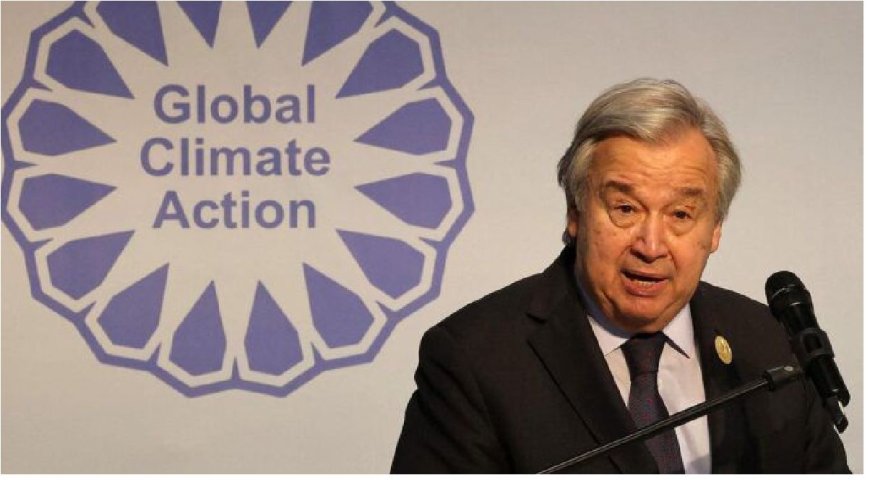 La ONU promueve la identificación digital