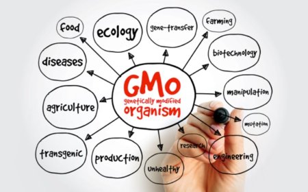 Cultivos GMO una amenaza creciente para la salud y el medio ambiente