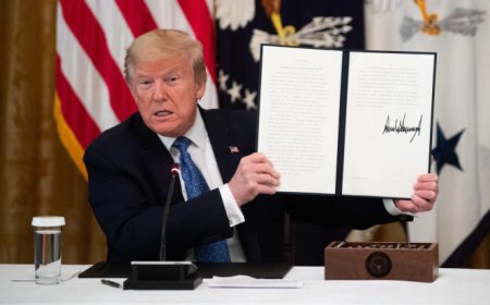 Retirada de EEUU de la OMS: lo que no se dijo