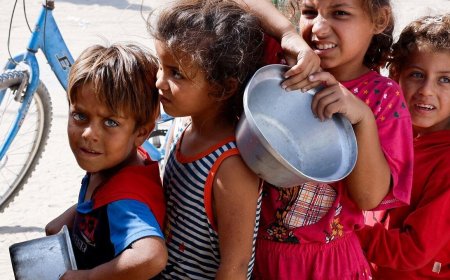 Plan para diseñar una hambruna global