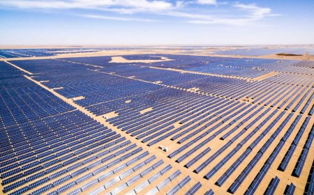 Combatiendo el ‘timo cambiático’ talando bosques, matando animales, destrozando cultivos