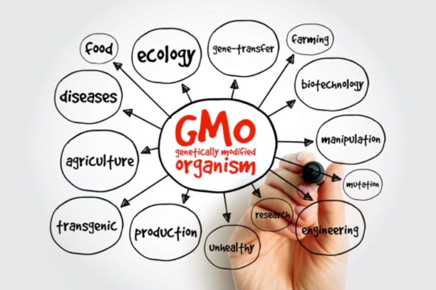 Cultivos GMO una amenaza creciente para la salud y el medio ambiente