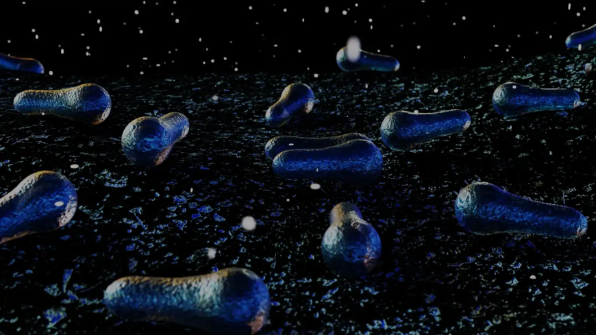 El bótox, una de las sustancias más tóxicas del mundo
