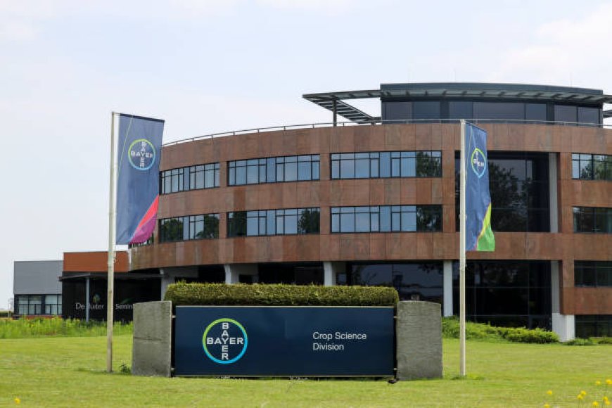 La historia completa de BAYER