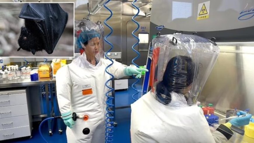 Otra vez empieza el circo