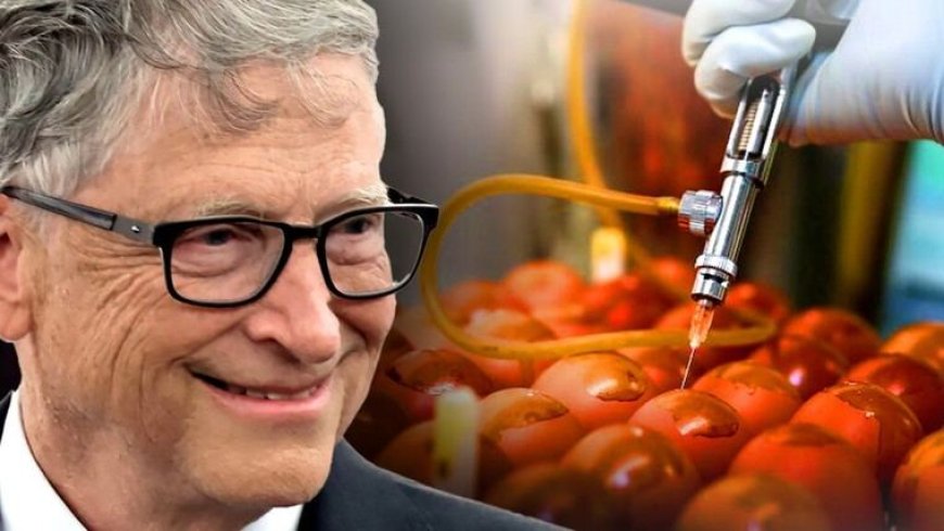 Bill Gates participa en un polémico plan de vacunación contra la gripe aviar