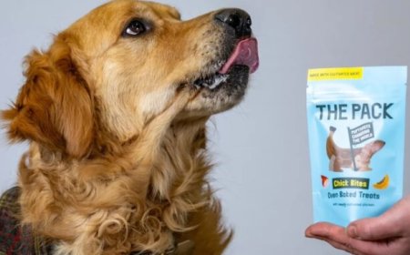 Carne OMG toxica para nuestras mascotas