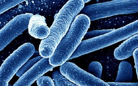 Guerra biológica y superbacterias